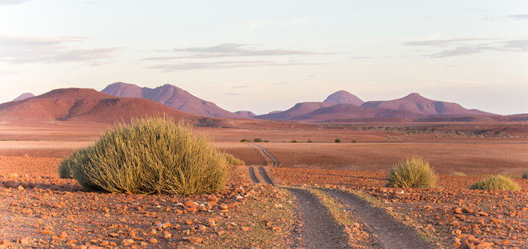 Damaraland
