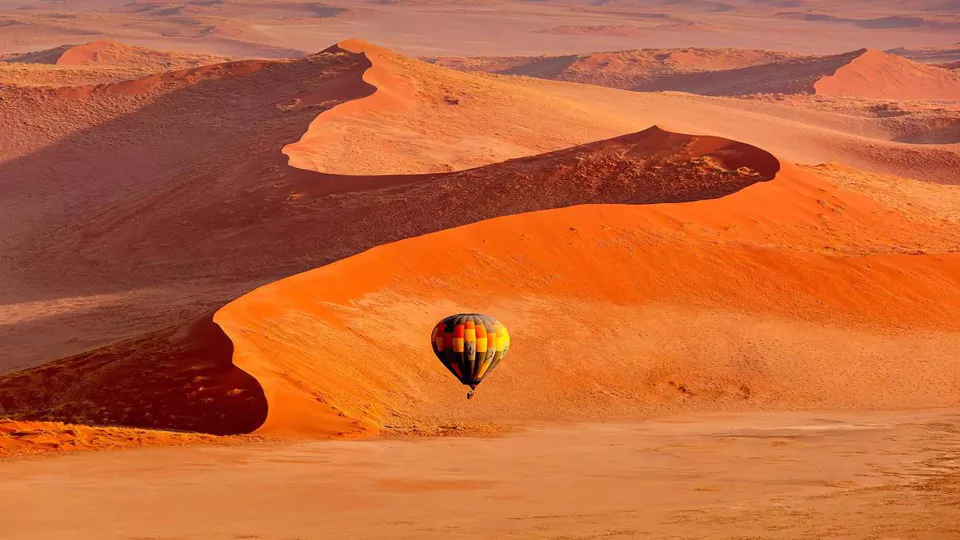 Safari landscape