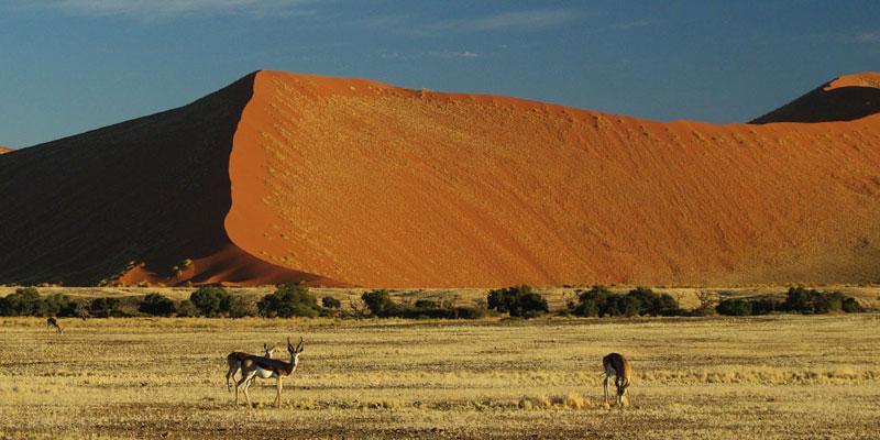 Sossusvlei Dunes